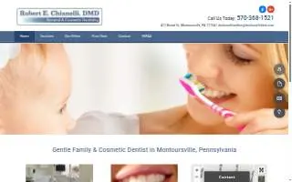 Chianelli Robert E website