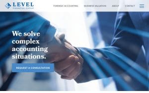 Level Financial Group