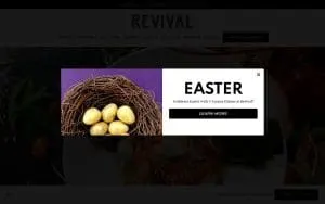 Revival of Charleston website