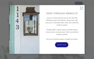 Saussy Burbank | SayeBrook website