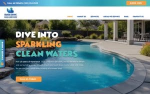 Duck Dive Pool Services