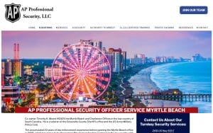 AP Professional Security Officer Service, Inc.