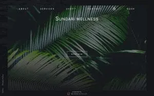 Sundari Wellness Spa website