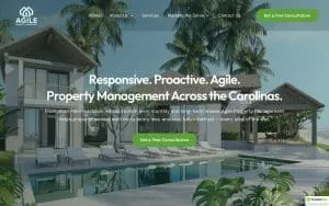 Stram website
