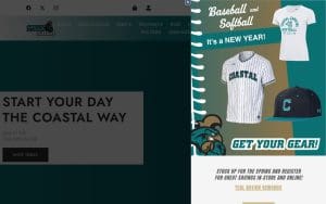 Teal Nation DWTN Conway
