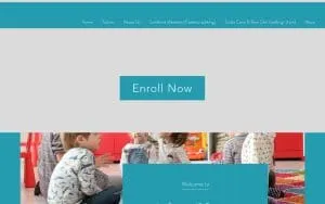 Little Wild Ones LLC website