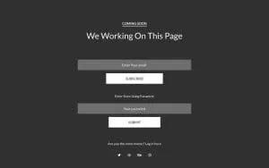 Exotic Snack Guys - International Snack Store website