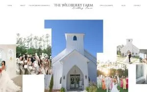 Wildberry Farm website