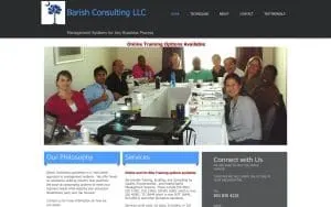 Barish Consulting website