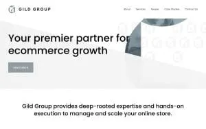 Flugel Consulting website