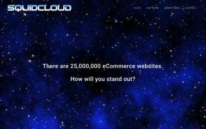 SquidCloud LLC
