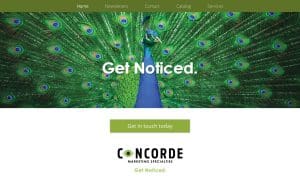 Concorde, LLC