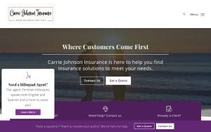 Carrie Johnson Insurance
