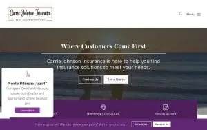 Carrie Johnson Insurance of Murrells Inlet website