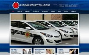 Phoenix Security Solutions