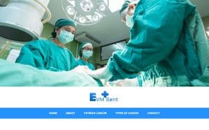 EVMS Health Services
