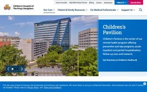 Mental Health Program