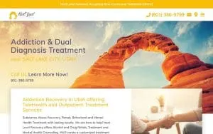 Next Level Recovery website