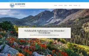 Collective Recovery, Inc. website