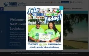 NAMI New Orleans website