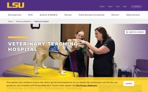 Small Animal Clinic