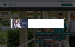 Emerald Care Center Midwest