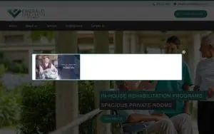 Emerald Care Center Midwest website