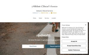 Adelante Clinical Services LLC