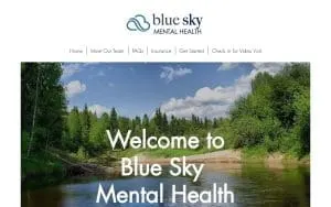 Blue Sky Mental Health website