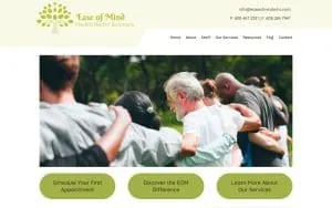 Ease of Mind Mental Health Solutions website
