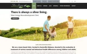 Silver Linings Neurodevelopment website