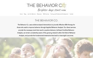 The Behavior Co.
