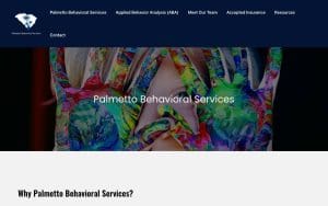 Palmetto Behavioral Services LLC