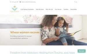Santa Monica Inc website