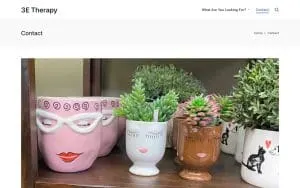 3E Therapy website