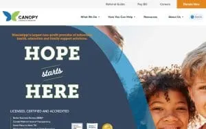 Canopy Children's Solutions website
