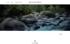 Water & Stone Wellness website