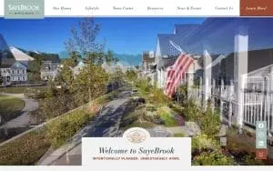 SayeBrook website