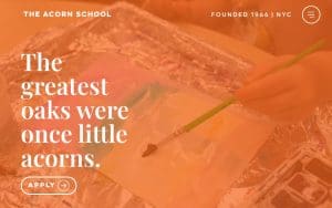 Acorn School