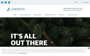 Camienne Financial website