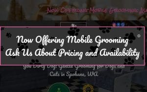 You Dirty Dawg Mobile Grooming