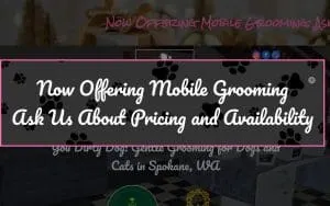 You Dirty Dawg Mobile Grooming of Clarkstown website