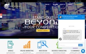 Webnbeyond Website Design Mineola