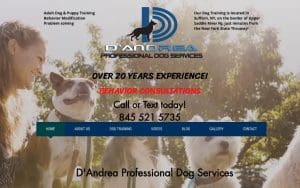 DP Dog Services