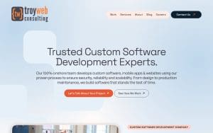 Troy Web Consulting