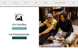 Paws for Healing LLC