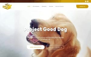 Project Good Dog