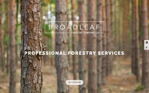 BroadLeaf Tree and Shrub
