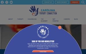Carolina Therapy Connection