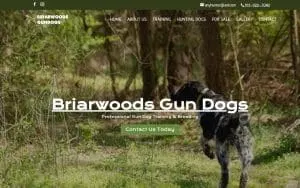 Briarwoods GunDogs website